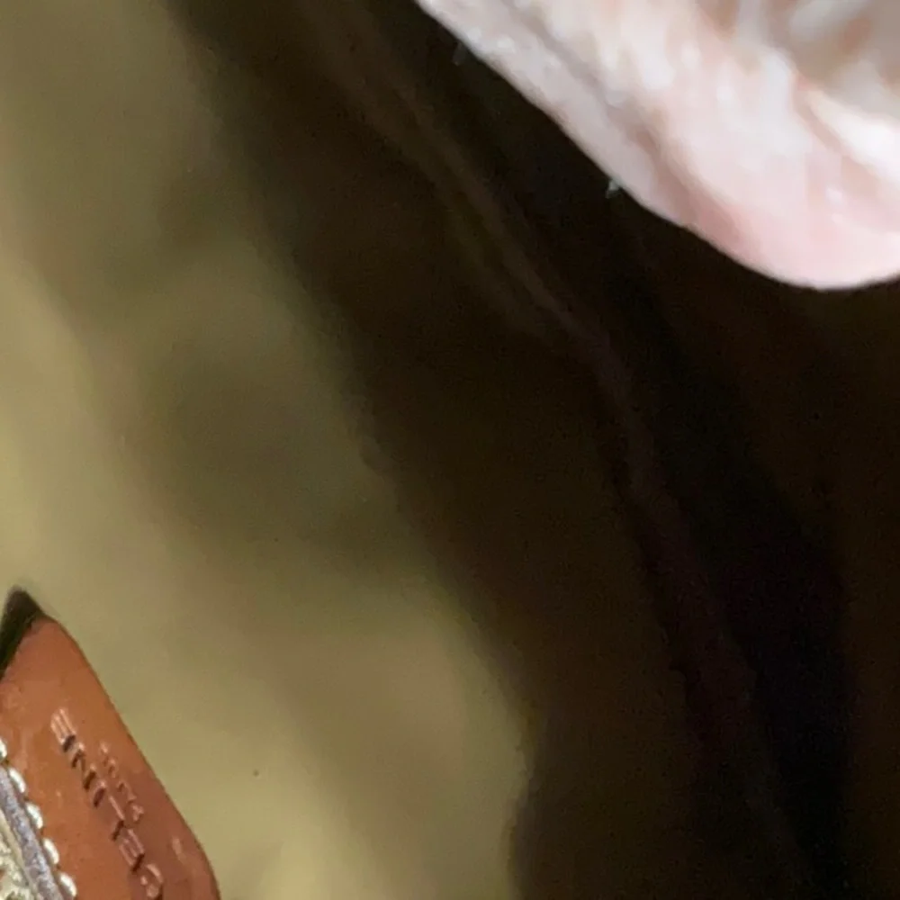 Super Clean Used Luxe Celine Honeycomb Clutch/Wristlet Final Sale - Picture 2 of 4